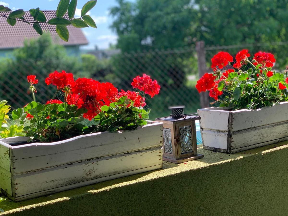 Apartmany Zeleny Dom Podhájska Екстериор снимка